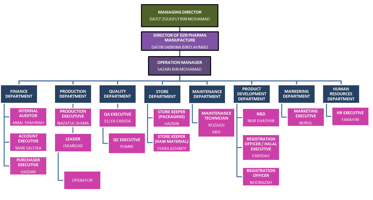 dzrpharma - carta organisasi